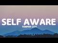 Temper City Self Aware Lyrics 