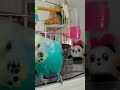 #birds #chinesedancer #попугай #roblox