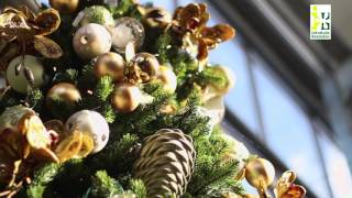 Laat Je Betoveren Op De Kerstshow Van Intratuin Rosmalen