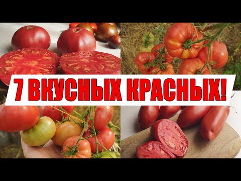 САМЫЕ ВКУСНЫЕ И СЛАДКИЕ ТОМАТЫ!!! ЛУЧШИЕ ПРОВЕРЕННЫЕ КРАСНЫЕ И РОЗОВЫЕ СОРТА, КОТОРЫЕ Я САЖАЛ!