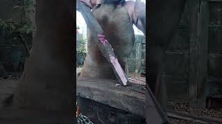 Tratamento térmico perfeito!