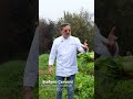 Lo spreco alimentare | Orto dello chef - #Documentario #mattthefarmer #orto #sprecoalimentare