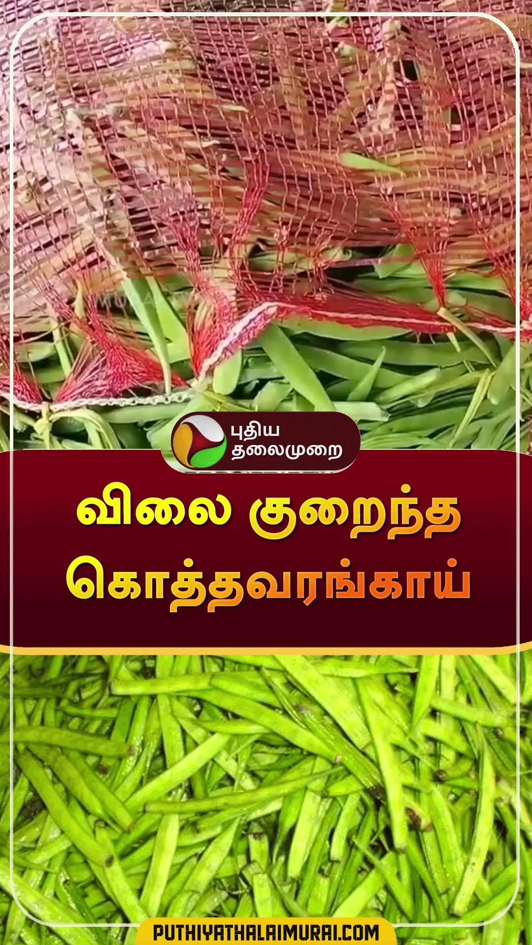 விலை குறைந்த கொத்தவரங்காய் | #shorts | #theni