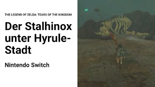 Der Stalhinox unter Hyrule-Stadt - The Legend of Zelda: Tears of the Kingdom - 43 - Nintendo Switch