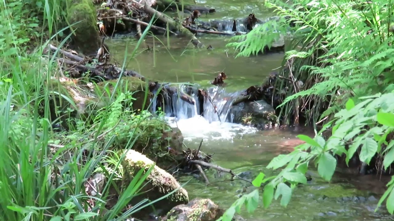 ARDENNEN -  11,5 km wandelen tussen Remouchamps en Aywaille ( BELGIUM)