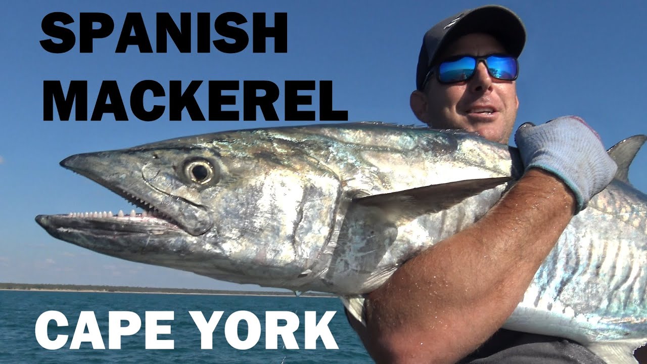 Catching a MASSIVE Spanish Mackerel! 