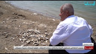 جفاف وحرارة تقضي على أسماك بحيرة سيروان في حلبجة تقرير علاء رمضان