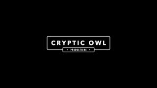 Cryptic Owl Intro