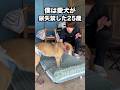 愛犬の体に異変があったので病院に行ってきました