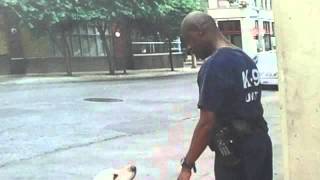 Deputy Charged with Animal Cruelty