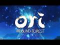 Ori and the Blind Forest | Full Game Longplay | No Commentary