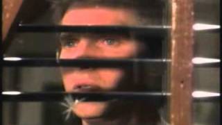 Jasam Lose It All