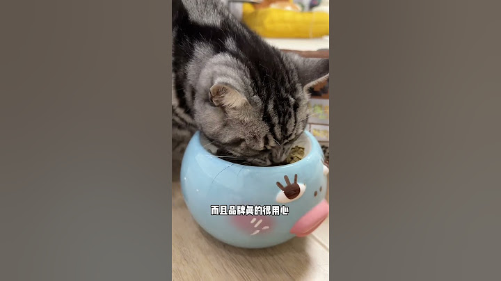 第一次做牛奶和酸奶的羊毛毡，结尾大家觉得怎么样呢#金渐层#猫咪的迷惑行为#嘟之谷 #嘟之谷鲜焙粮