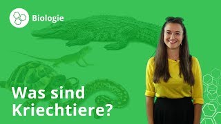 Kriechtiere Merkmale Ernahrung Fortpflanzung Biologie Duden Learnattack Youtube