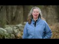 Why Maine's woods have so many rock walls | Assignment Maine