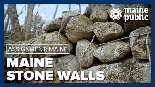Why Maine's woods have so many rock walls | Assignment Maine