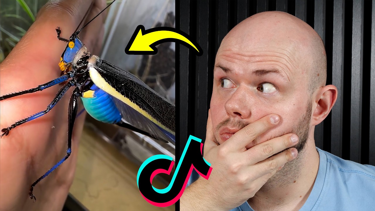 CO TO JEST? - Moja reakcja na filmy od widzów!