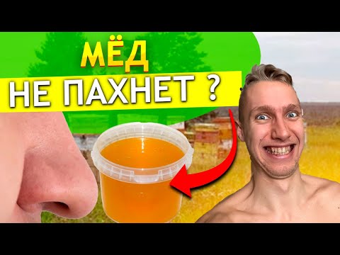 Как определить КАЧЕСТВО МЕДА по запаху ? Какой аромат и запах у натурального и качественного меда ?