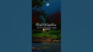 و لقد خلقنا الإنسان 🌿ما تيسر من سورة الحجر🌿للقارئ شريف مصطفى 🌿