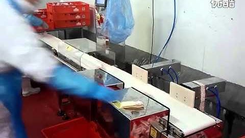 Online Check Weighing Machine with Under weight & Over weight sorting system