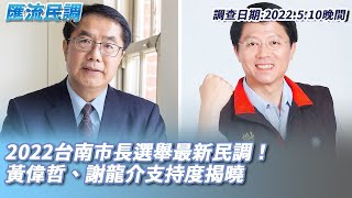 匯流民調／2022台南市長最新民調！黃偉哲、謝龍介支持度 ... 