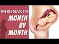 Pregnancy Month by Month | Fetal Development Month by Month