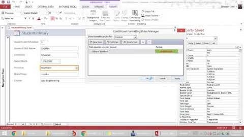 Conditional Formatting Values | MS Access Database 19
