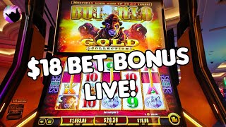 $18 Bet Bonus on Buffalo Gold Live! 🦬