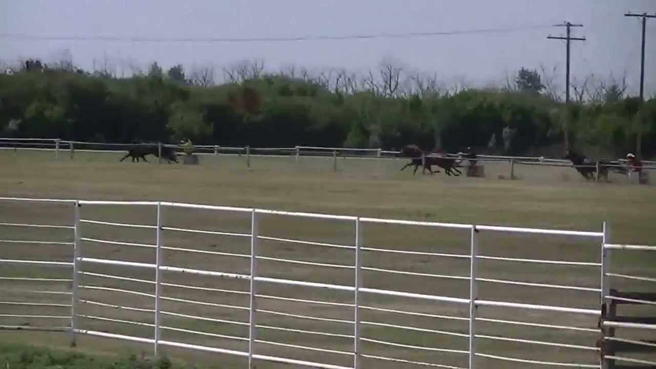 Britton Chariot, Brian, Aug 18, 2013 Whitecap YouTube