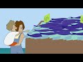 VIDEO ANIMATION OCEAN CLEANUP