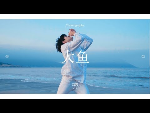 Big Fish & Begonia Theme Song (Zhou Shen - Big Fish) / Jun Liu Choreography