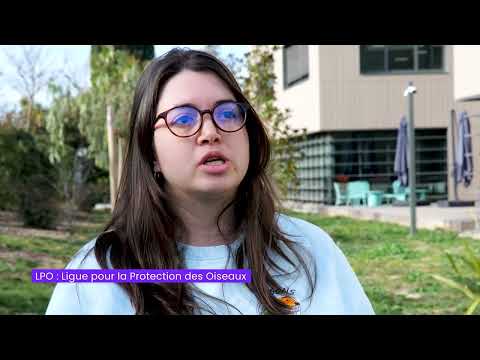 Clip promotionnel (2)