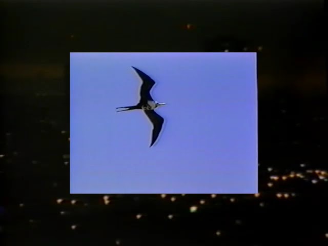 Midi Memory - Infinite Design (Lyric Video) bekijken op YouTube