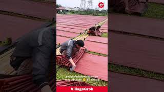 Crafting Unique Leather: Traditional Dyeing and Drying Process