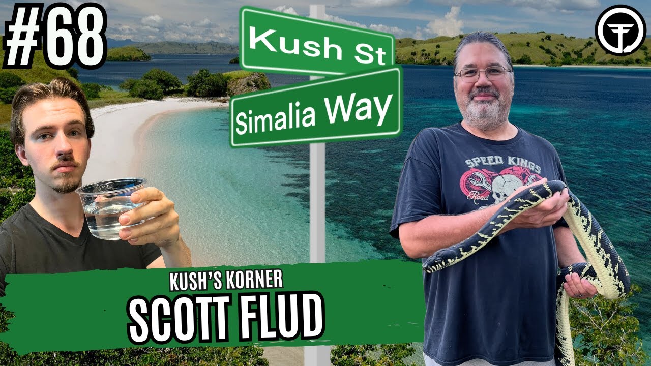 How Scott Flud Has Successfully Bred Boelen's Pythons For Years | Kush's Korner Live