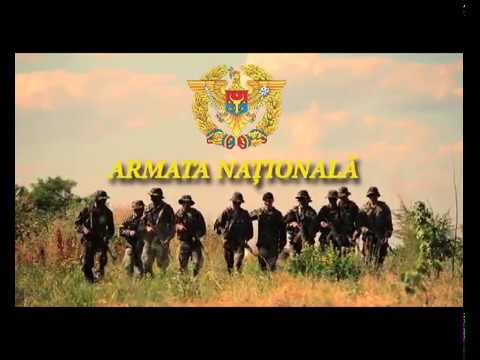 Video: Armata A Doi: A 40-a Zi