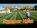 Keep Your Tall Fescue Green During the Summer Heat