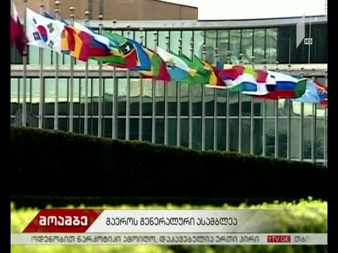 რა საკითხებზე გაამახვილებს ყურადღებას მამუკა ბახტაძე გაერო-ს გენერალურ ასამბლეაზე