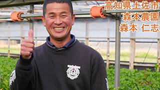 「ユリで、思いを、つたえたい。」リリーアンバサダー 森本仁志さん