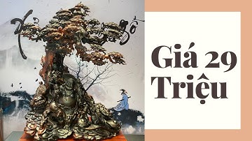 Tượng gỗ: Di lặc ngũ tiểu cây tùng gỗ trắc đỏ đen đục siêu kĩ | Xưởng Tượng Gỗ