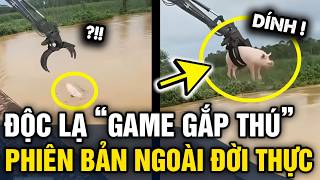 Real-life CLAW MACHINE game appears as locals use CRANE to rescue pigs from flood | 3-Minute News screenshot 4
