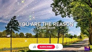 You Are The Reason ( Lyrics Video )