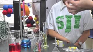 SJI-IB