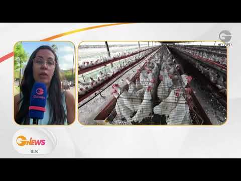 Mexico suspends chicken imports from Brazil
