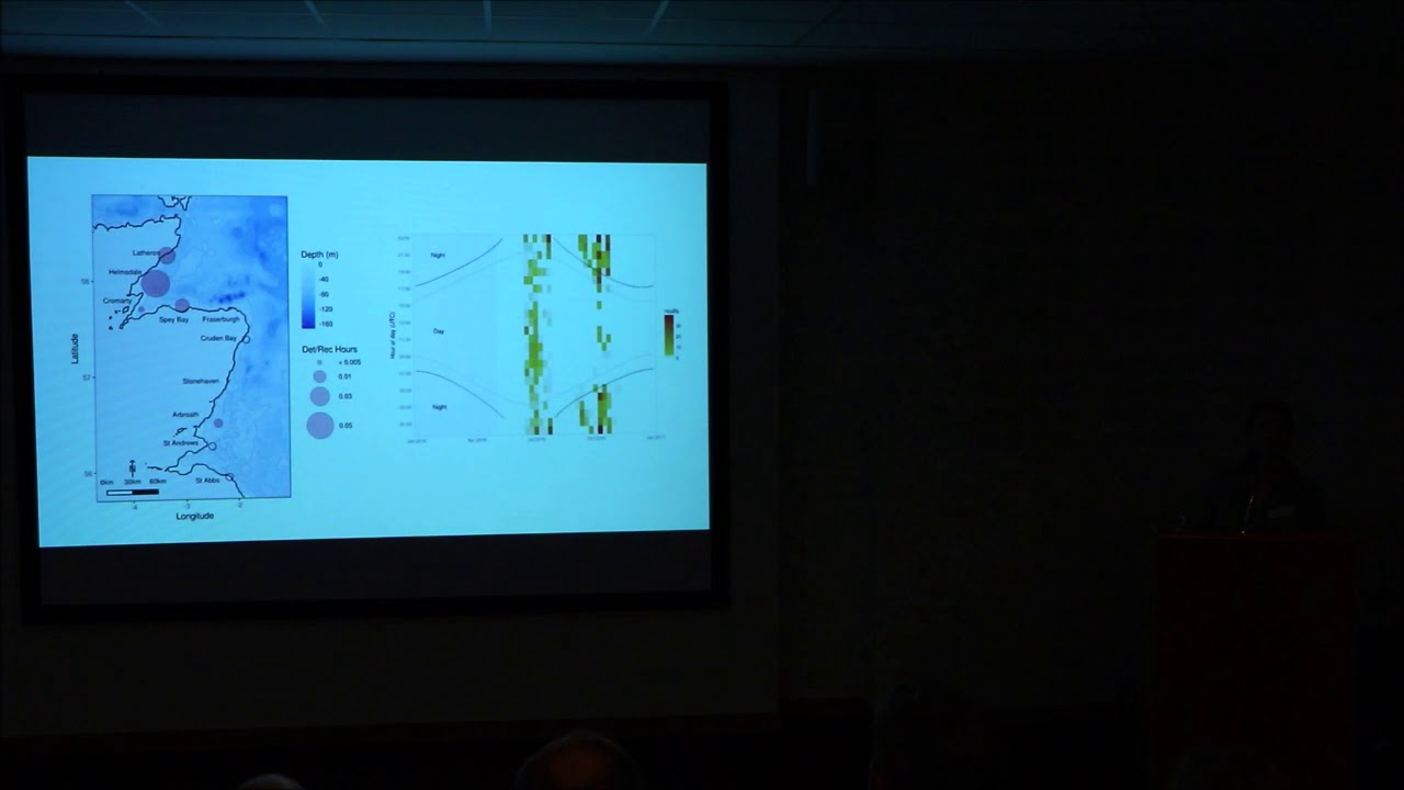 SMASS & WDC Marine Forum 2019, Dr Denise Risch - SAMS - YouTube