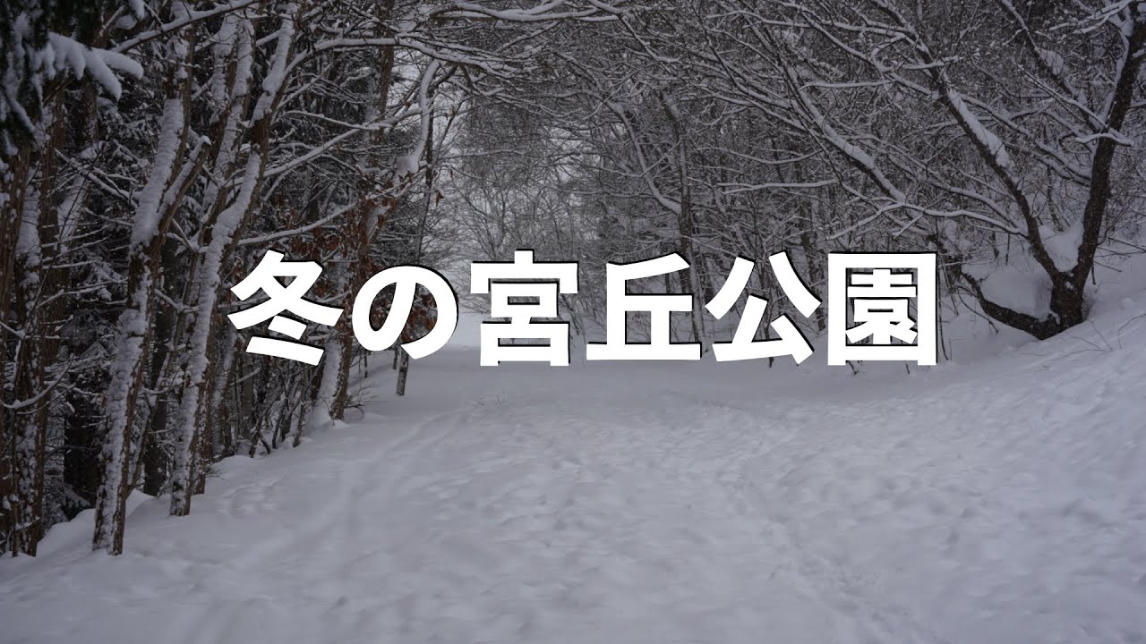 冬の宮丘公園#札幌 #散歩 #walking #冬 #sapporo