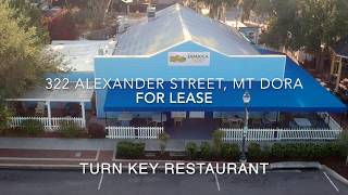 322 Alexander Street, Mount Dora, Florida
