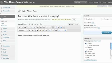 Write and Publish a Post in Wordpress