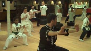 Basic Kung Fu - Tiger Stances #2