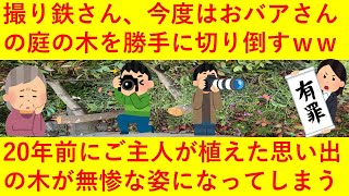 【悲報】撮り鉄さん、今度はおバアさんの庭に植えてある思い出の木を勝手に切り倒してしまうｗｗｗｗｗｗｗｗ